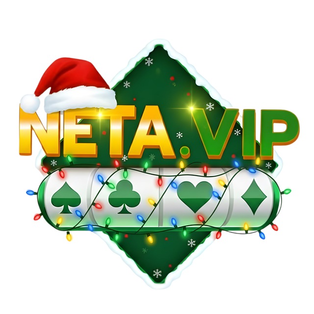 Neta Vip Logo